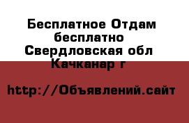 Бесплатное Отдам бесплатно. Свердловская обл.,Качканар г.